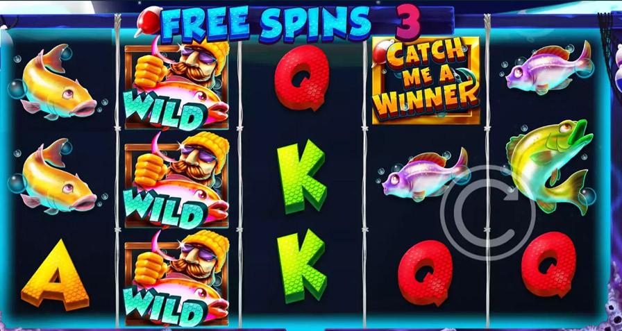 Catch Me A Winner De - partycasino