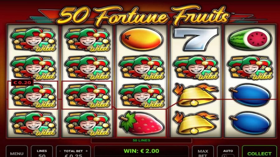 50 Fortune Fruits Bonus - partycasino