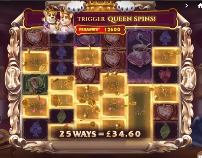 Doggy Riches 3 - partycasino