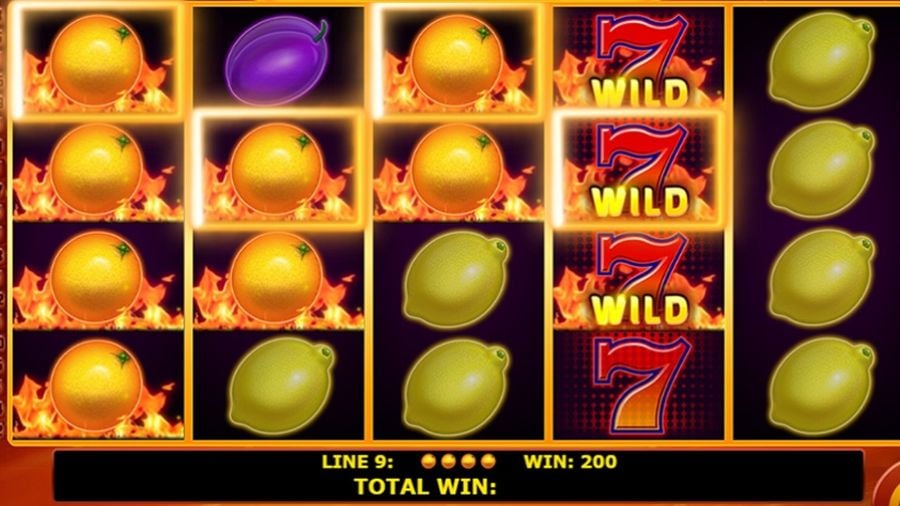 Hot Fruits 40 Bonus Eng - partycasino