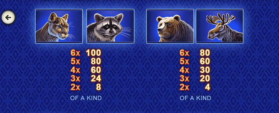 Buffalo Blitz Megaways Featured Symbols - partycasino-canada