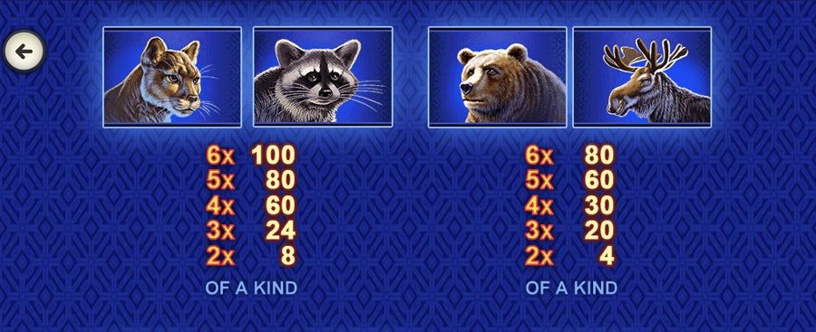 Buffalo Blitz Megaways Featured Symbols - partycasino-canada