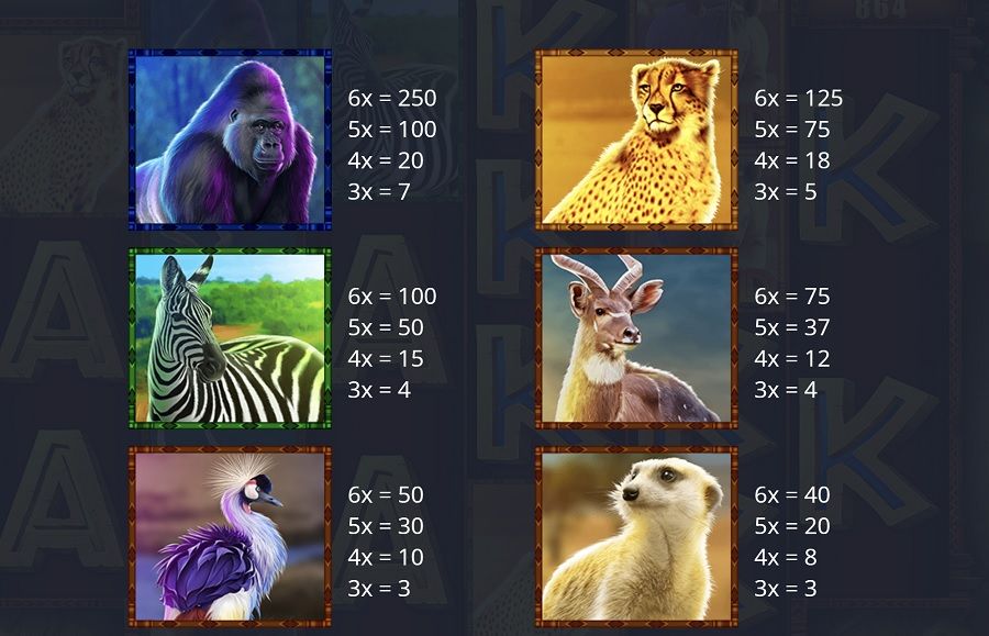 Rumble Rhino Megaways Featured Symbols - partycasino-canada