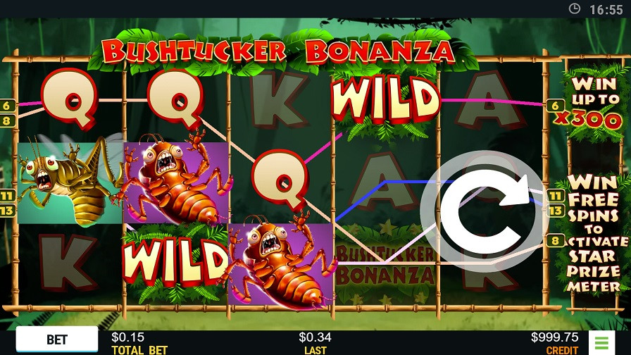 Bushtucker Bonanza Bonus Eng - partycasino-canada