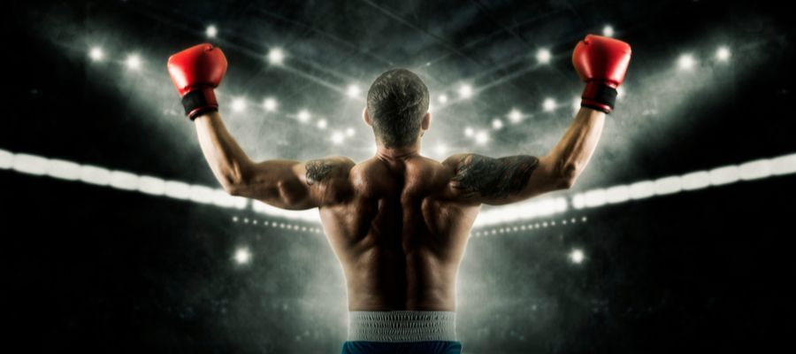 Unanimous Decision - partycasino