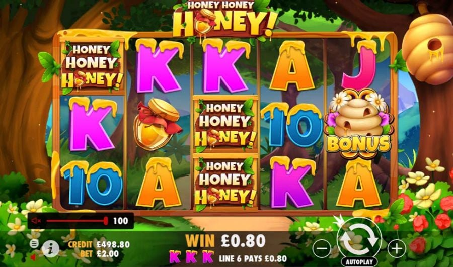 Honey Honey Honey Win - partycasino