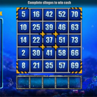 Slingo Shark Week Bet - partycasino