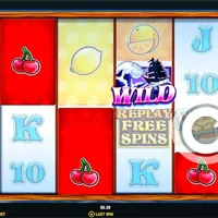 Fruity Booty Bonus - partycasino