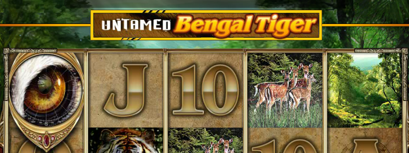 Untamed Bengal Tiger - partycasino