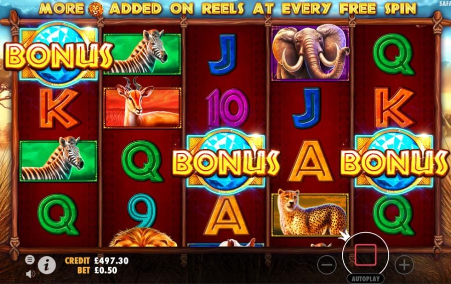 Safari King Bonus - partycasino