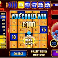 Slingo Reel King Bonus - partycasino