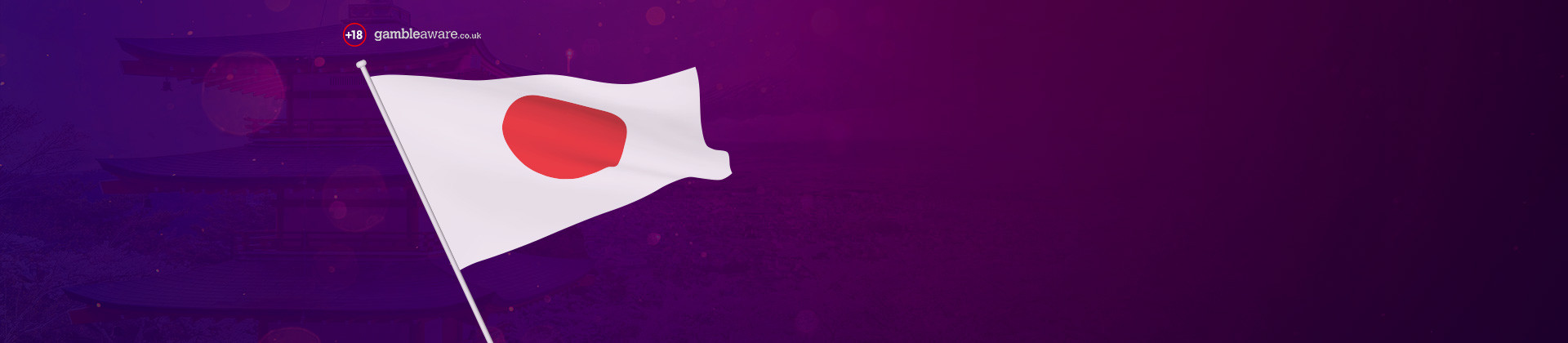 Japanese Government Intent On Bringing Forward Internet Gambling Bill Before Christmas - partycasino