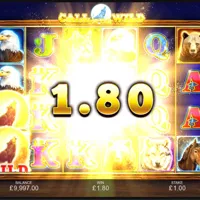 Call Of The Wild Bonus - partycasino