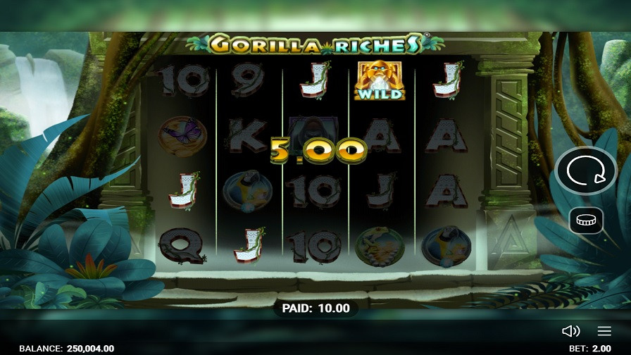 Gorilla Riches Bonus Eng - partycasino