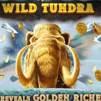 Wild Tundra Slot - partycasino