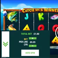 Catch Me A Winner Bet - partycasino