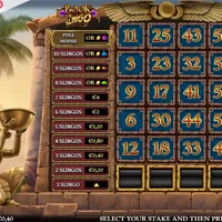 Book Of Slingo Bet - partycasino