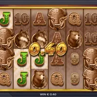 Buffalo Toro Bonus - partycasino