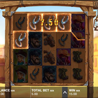 Deadly 5 Bonus - partycasino