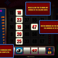 Slingo Ante Up Bet - partycasino