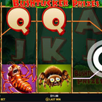Bushtucker Prizes Bonus - partycasino