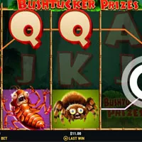 Bushtucker Prizes Bonus - partycasino