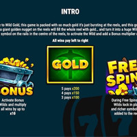 Wild Gold Bet - partycasino