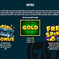 Wild Gold Bet - partycasino