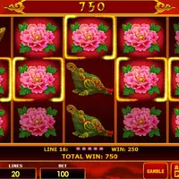 Grand Wild Dragon 20 Bet - partycasino