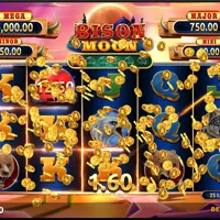 Bison Moon Bonus - partycasino