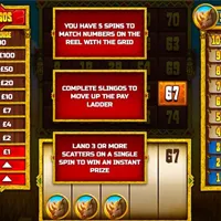 Slingo Stampede Bet - partycasino