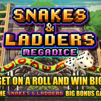 Snakes And Ladders Megadice Slot - partycasino