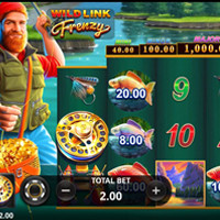 Wild Link Frenzy Bet - partycasino