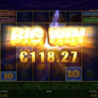 Buffalo Blitz Megaways Bonus - partycasino