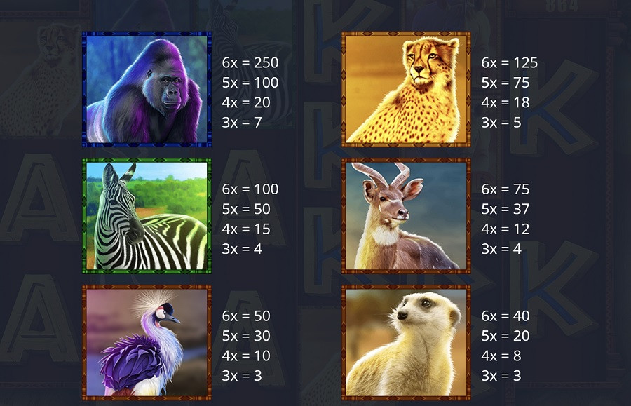 Rumble Rhino Megaways Featured Symbols - partycasino