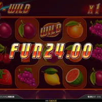 X Wild Bonus - partycasino