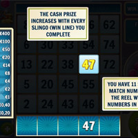 Slingo Riches Bet - partycasino