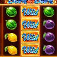 Burn 7s Burn Bonus - partycasino