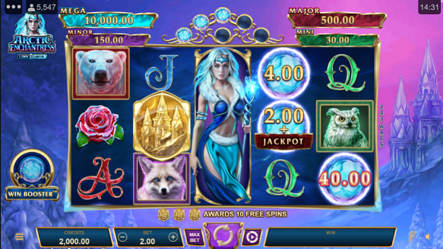 Arctic Enchantress Slot - partycasino