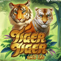 Tiger Tiger Slot - partycasino