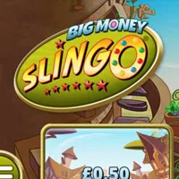 Big Money Slingo - partycasino
