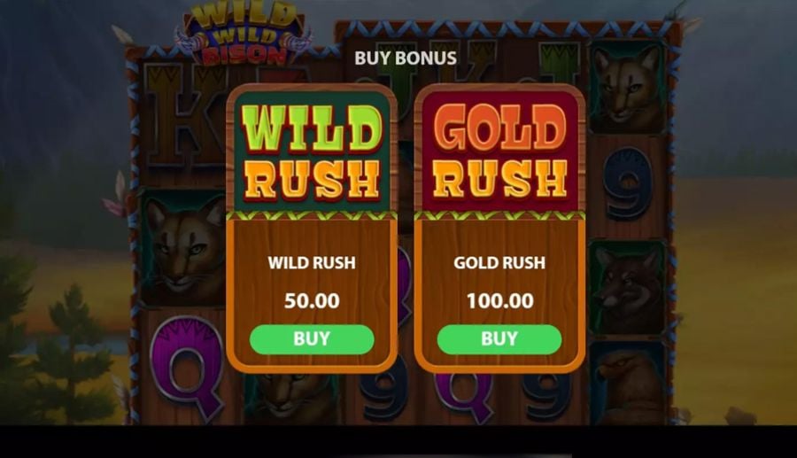 Wild Wild Bison Bonus - partycasino