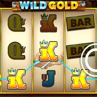 Wild Gold Bonus - partycasino