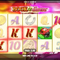 Book Of Charms Bonus - partycasino