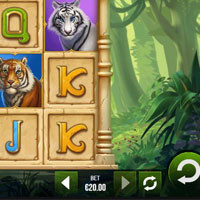 Tiger Tiger Bet - partycasino