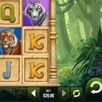 Tiger Tiger Bet - partycasino