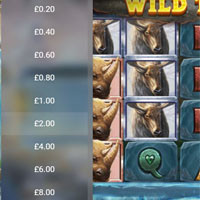 Wild Tundra Bet - partycasino