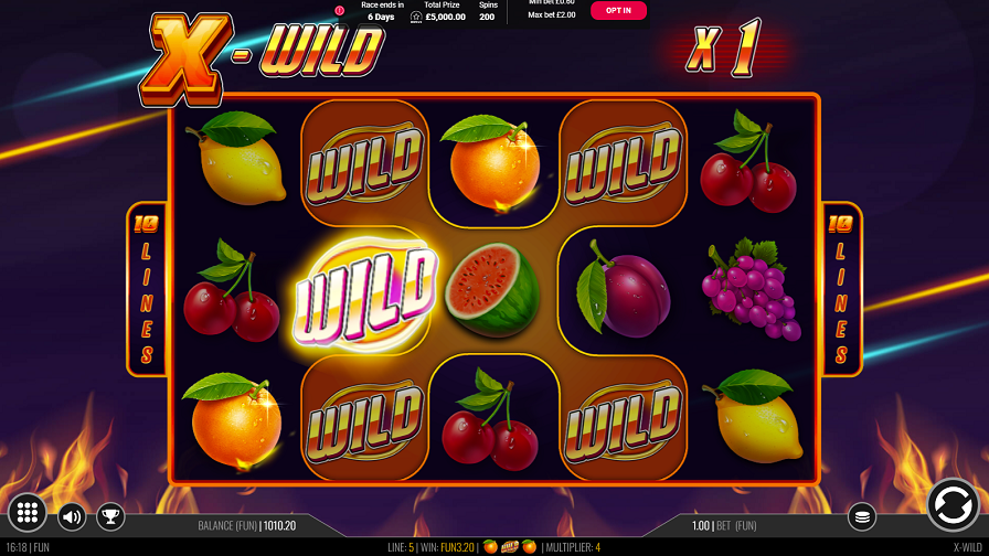X Wild Bonus Eng - partycasino