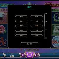 Arctic Enchantress Bet - partycasino